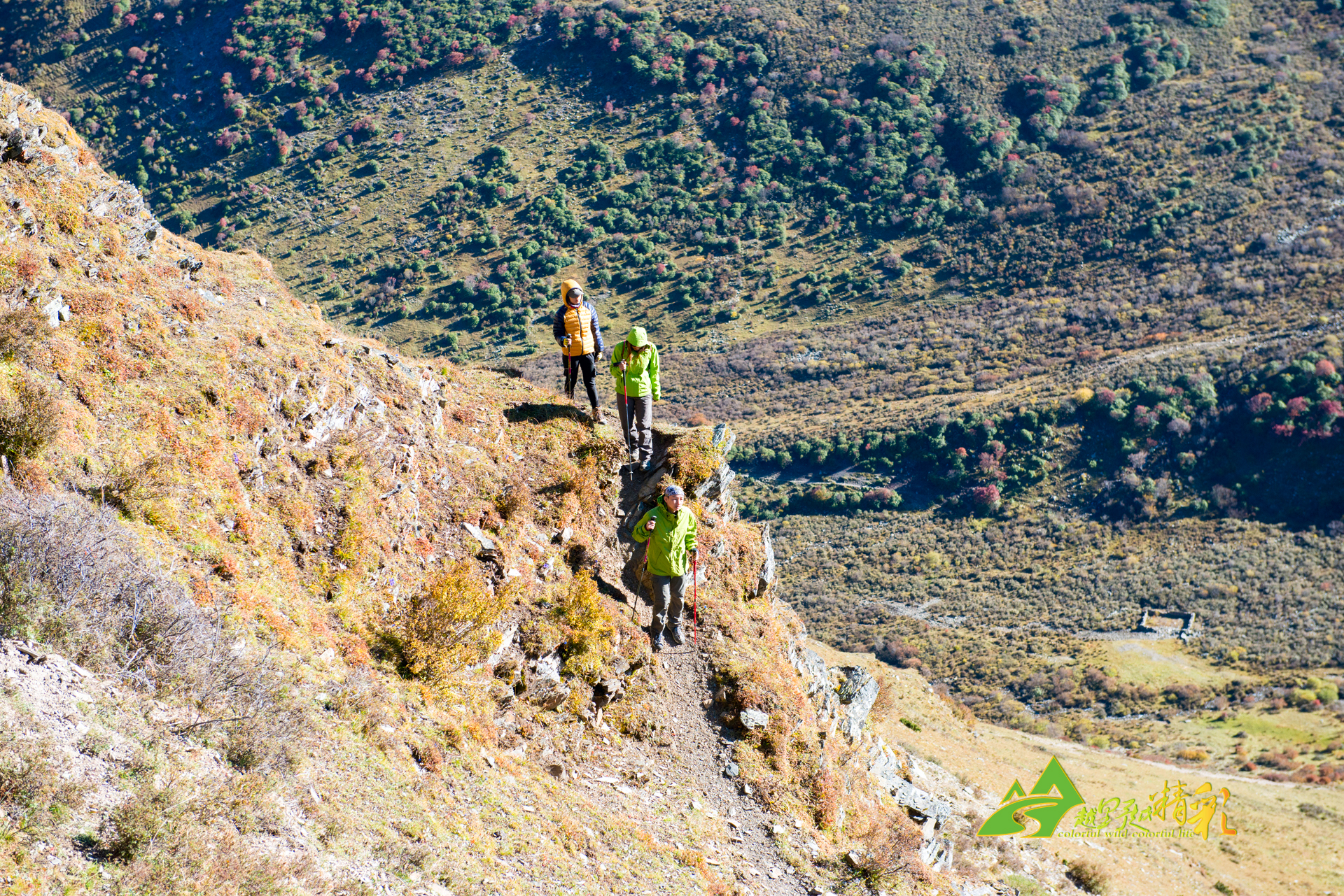与此同时 与此同时