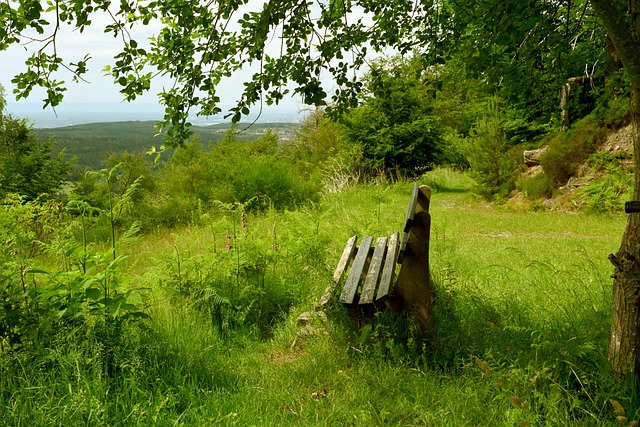 队摧城拔寨 队摧城拔寨